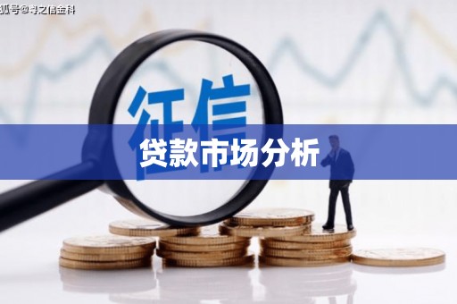 黔西贷款市场分析
