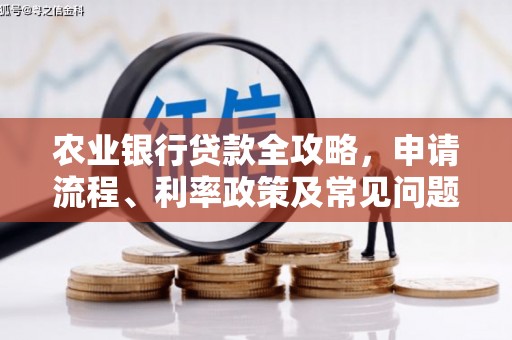 黔西农业银行贷款全攻略，申请流程、利率政策及常见问题解析