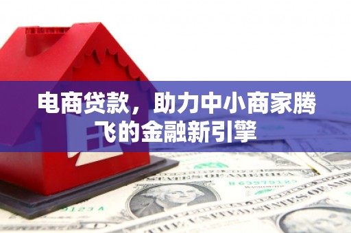 黔西电商贷款，助力中小商家腾飞的金融新引擎