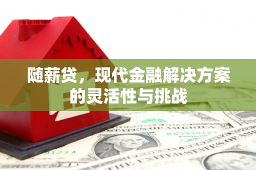 黔西随薪贷，现代金融解决方案的灵活性与挑战