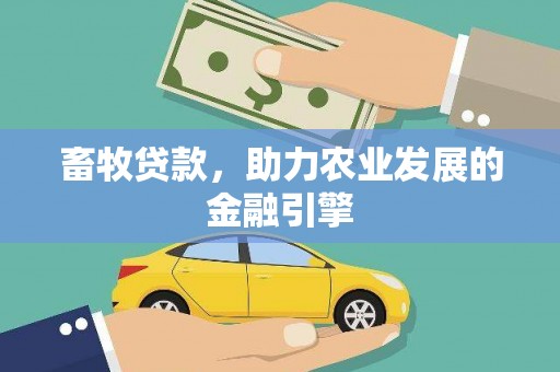 黔西畜牧贷款，助力农业发展的金融引擎