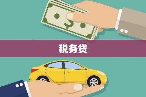黔西税务贷