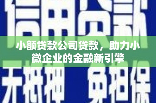 黔西小额贷款公司贷款，助力小微企业的金融新引擎