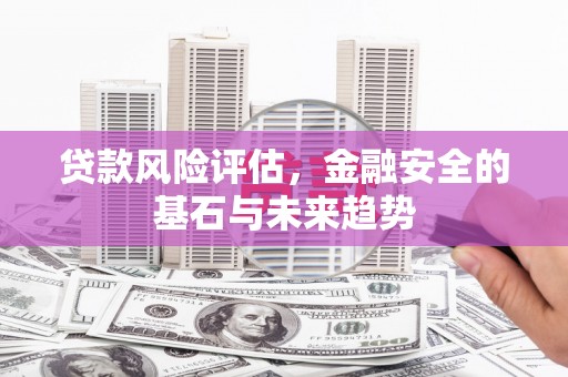 黔西贷款风险评估，金融安全的基石与未来趋势