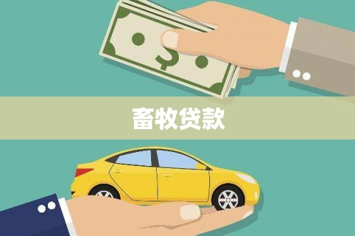黔西畜牧贷款