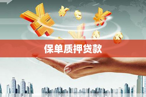 黔西保单质押贷款