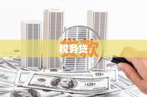 黔西税务贷