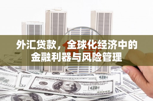 黔西外汇贷款，全球化经济中的金融利器与风险管理