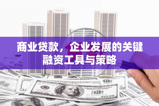 黔西商业贷款，企业发展的关键融资工具与策略