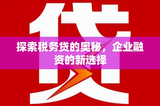 黔西探索税务贷的奥秘，企业融资的新选择