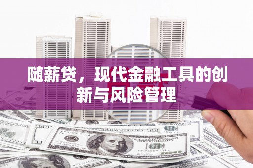 黔西随薪贷，现代金融工具的创新与风险管理