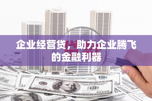 黔西企业经营贷，助力企业腾飞的金融利器
