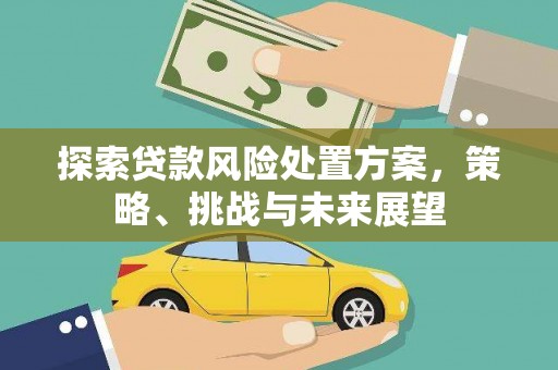 黔西探索贷款风险处置方案，策略、挑战与未来展望