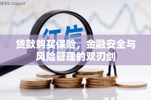 黔西贷款购买保险，金融安全与风险管理的双刃剑