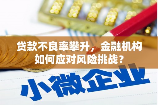 黔西贷款不良率攀升，金融机构如何应对风险挑战？