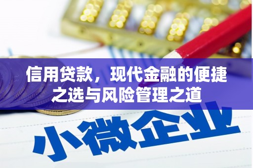 黔西信用贷款，现代金融的便捷之选与风险管理之道