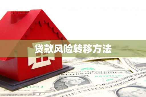 黔西贷款风险转移方法