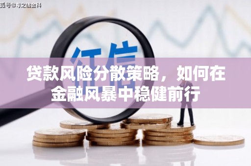 黔西贷款风险分散策略，如何在金融风暴中稳健前行