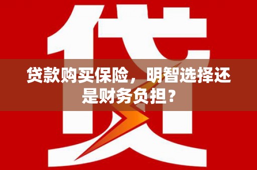 黔西贷款购买保险，明智选择还是财务负担？