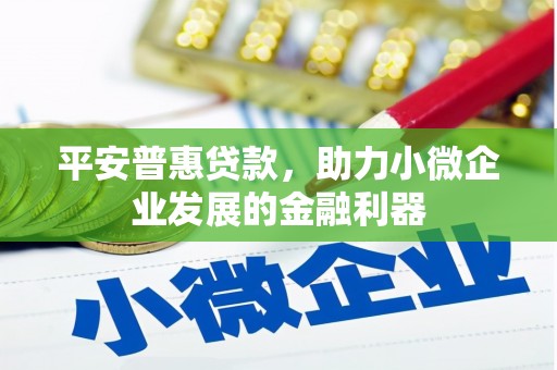 黔西平安普惠贷款，助力小微企业发展的金融利器