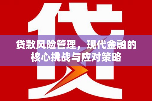 黔西贷款风险管理，现代金融的核心挑战与应对策略