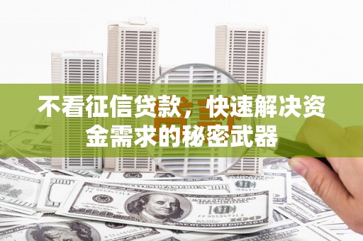 黔西不看征信贷款，快速解决资金需求的秘密武器