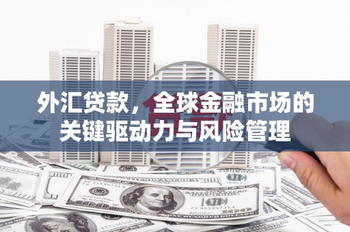 黔西外汇贷款，全球金融市场的关键驱动力与风险管理