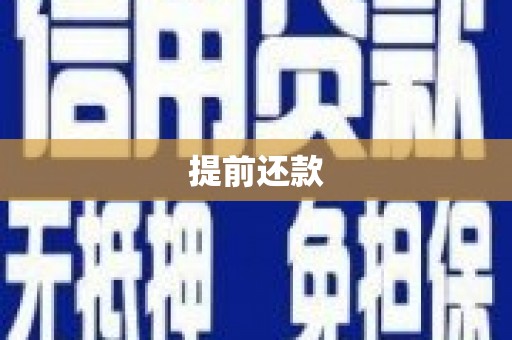 黔西提前还款