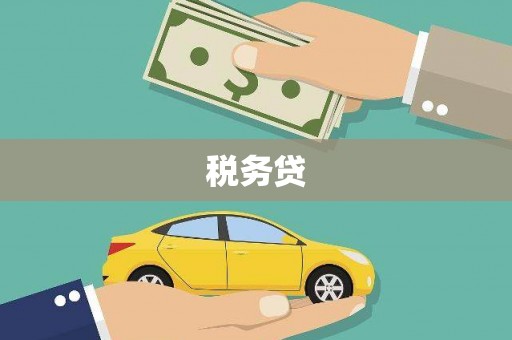 黔西税务贷