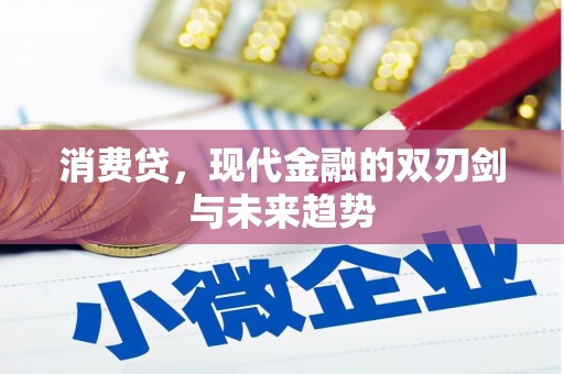 黔西消费贷，现代金融的双刃剑与未来趋势