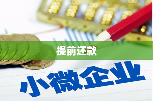 黔西提前还款