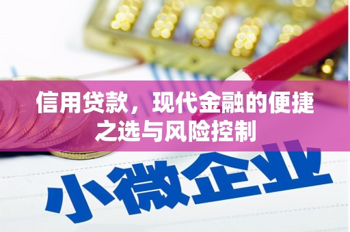 黔西信用贷款，现代金融的便捷之选与风险控制