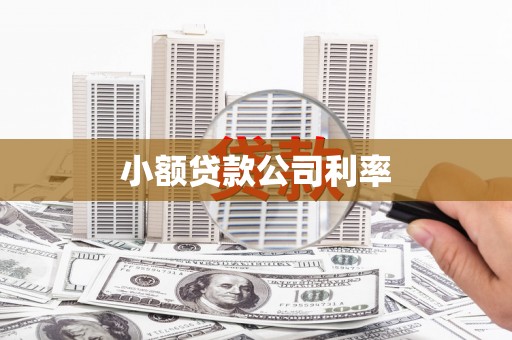黔西小额贷款公司利率