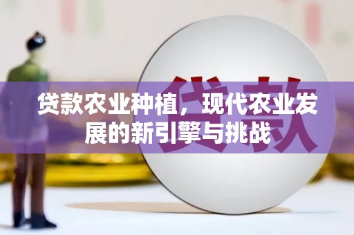 黔西贷款农业种植，现代农业发展的新引擎与挑战