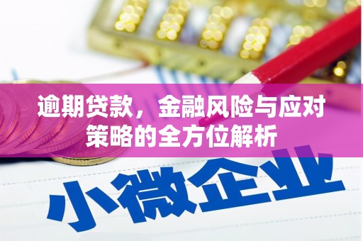 黔西逾期贷款，金融风险与应对策略的全方位解析