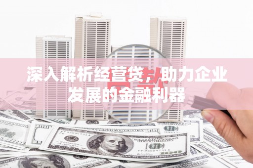 黔西深入解析经营贷，助力企业发展的金融利器