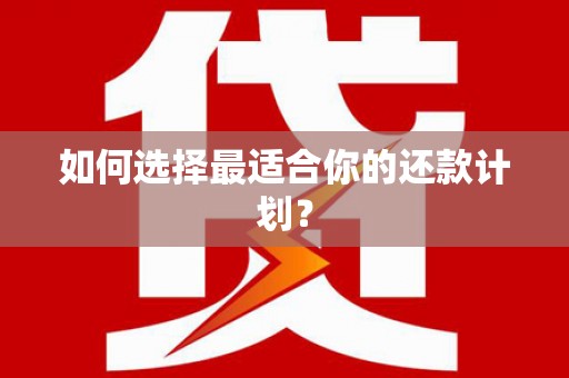 黔西如何选择最适合你的还款计划？