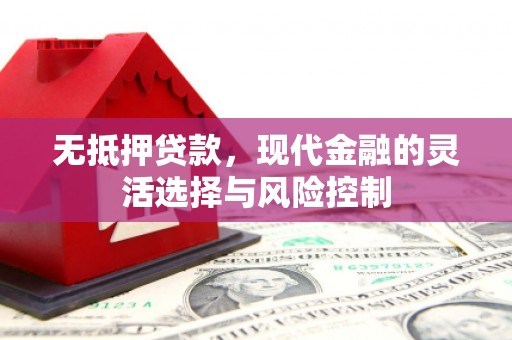 黔西无抵押贷款，现代金融的灵活选择与风险控制