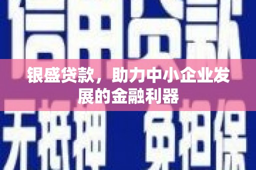 黔西银盛贷款，助力中小企业发展的金融利器
