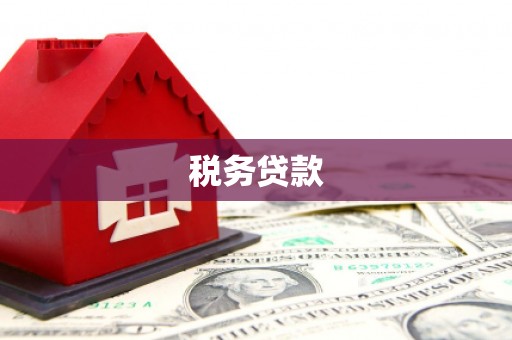 黔西税务贷款