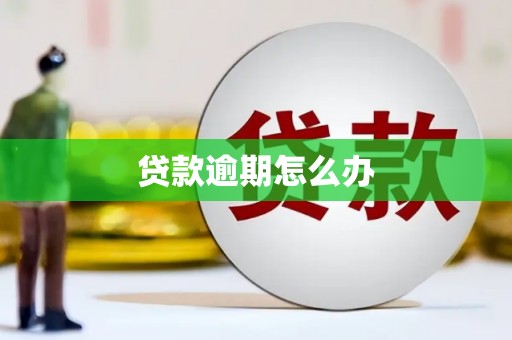 黔西贷款逾期怎么办