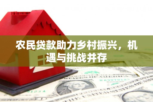 黔西农民贷款助力乡村振兴，机遇与挑战并存