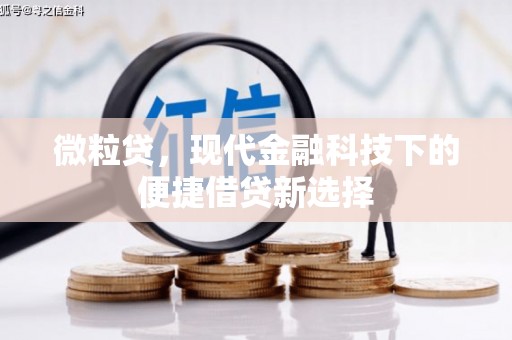 黔西微粒贷，现代金融科技下的便捷借贷新选择