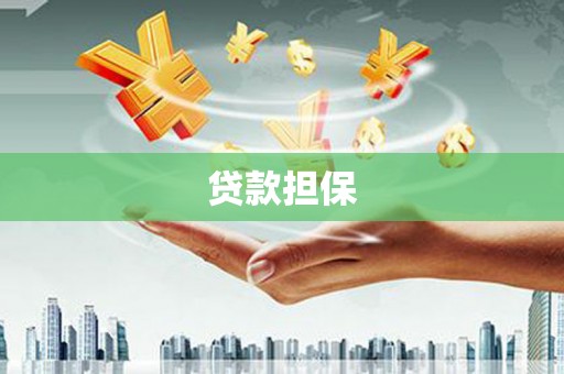 黔西贷款担保