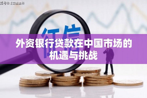 黔西外资银行贷款在中国市场的机遇与挑战