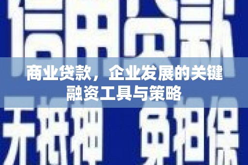 黔西商业贷款，企业发展的关键融资工具与策略