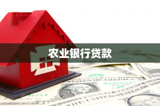 黔西农业银行贷款