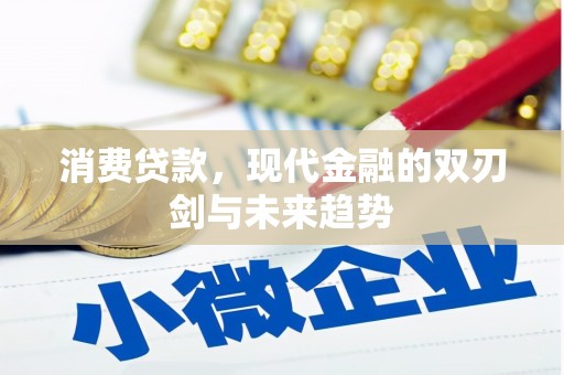 黔西消费贷款，现代金融的双刃剑与未来趋势