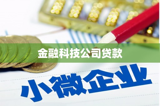 黔西金融科技公司贷款