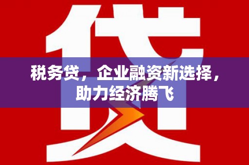 黔西税务贷，企业融资新选择，助力经济腾飞